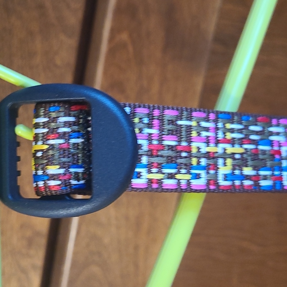Bison Belt